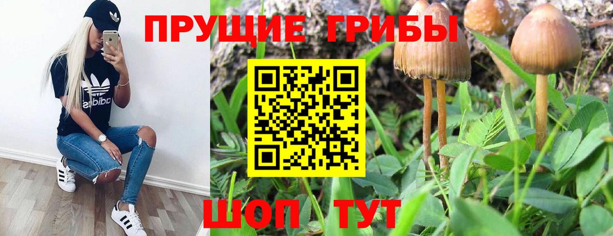 Псилоцибиновые грибы Cubensis  продажа наркотиков  Бирск  Вход с VPN 