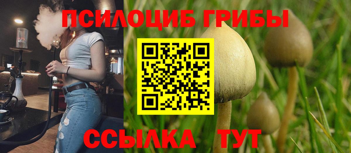 Галлюциногенные грибы GOLDEN TEACHER Бирск